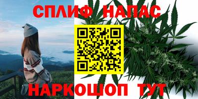 mdpv Заводоуковск