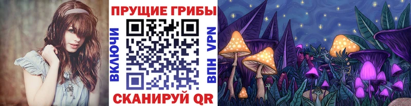 Псилоцибиновые грибы Psilocybine cubensis  hydra ссылка  Каменка 