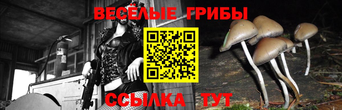 Каменка  Псилоцибиновые грибы мицелий  Псилоцибиновые грибы мухоморы  Вход с VPN 